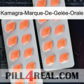 Kamagra-Marque-De-Gelée-Orale 27